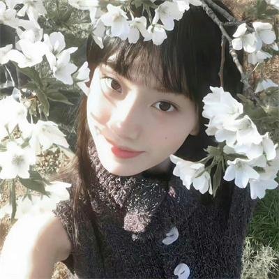 凡人修仙传